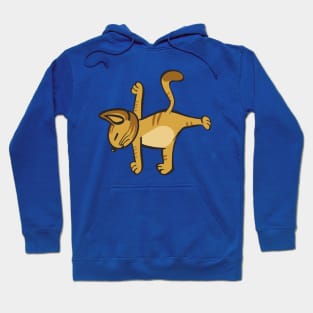 Cat In Different Yoga Poses Hoodie